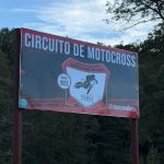 El manzano brujo, embruja…