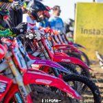 MX ARGENTINO HORARIOS!